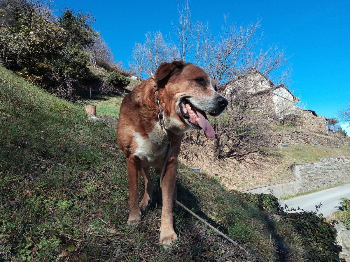 Il Cassero Pomaretto Εξωτερικό φωτογραφία